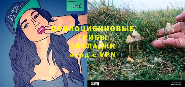 шишки Краснотурьинск