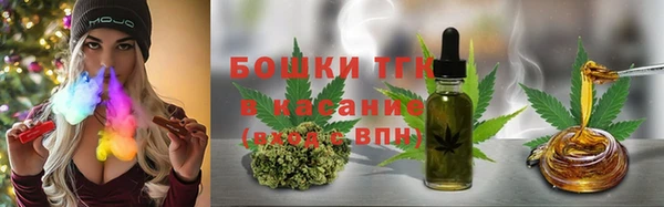 шишки Краснотурьинск