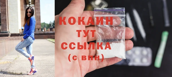шишки Краснотурьинск