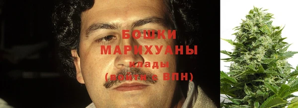 шишки Краснотурьинск